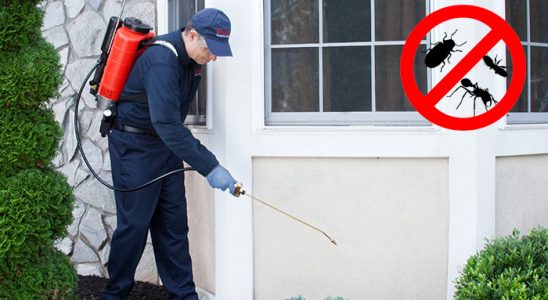 Büyükçekmece Karınca İlaçlama böcek ilaçlama ve haşere kontrolü — ilaclama-tr.com